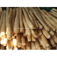 New Crop Fresh Chinese Yam BRC/FDA